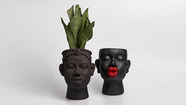 Africa Face Μεγάλο Κασπώ με φυτό