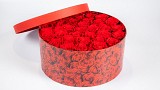 Forever Rose XL Box