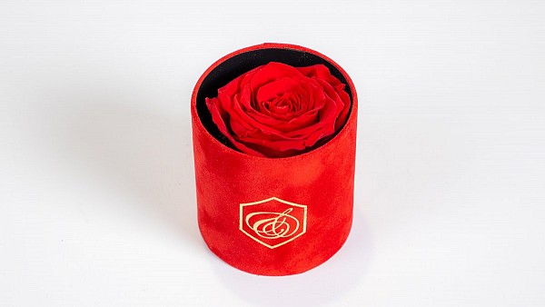 Forever Rose Minimal