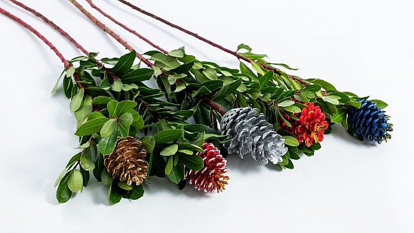 Κουκουνάρι